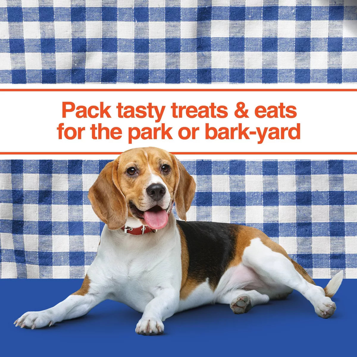 Cesar Classic Loaf in Sauce Grilled Chicken and Gravy Flavor Small Breed Wet Dog Food - 3.5Oz
