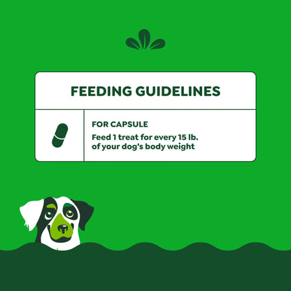 Pill Pockets for Dogs Chicken Flavor Large, Capsule Size Soft Dog Treats, 7.9 Oz, (30 Pk)